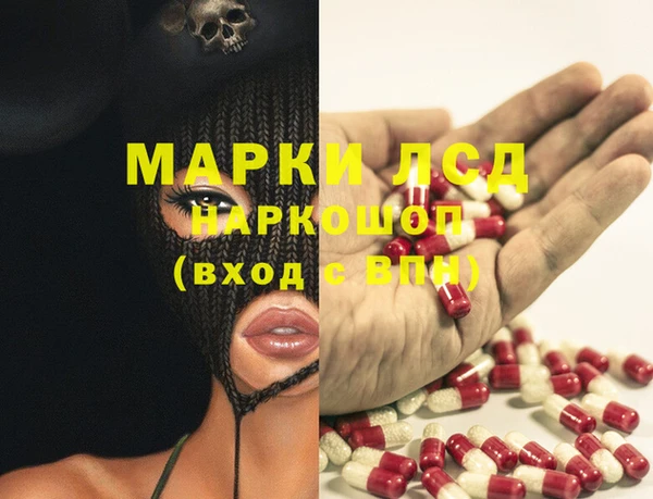 индика Ростов