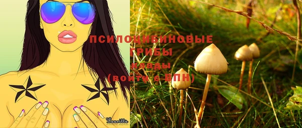 амф Аркадак