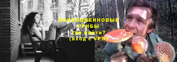 а пвп мука Арсеньев