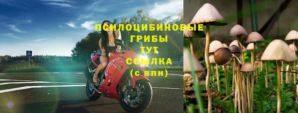 а пвп мука Арсеньев